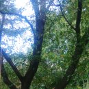 금산초병설유치원 이미지