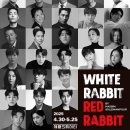 화이트래빗 이미지