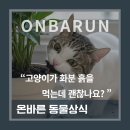 흙 동물병원 네이버블로그