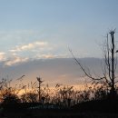 쉬리공원 이미지