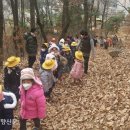 석성숲유치원 이미지