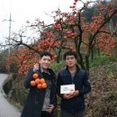 정종희농장 이미지