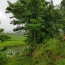 문봉1리 이미지