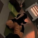 (주)토리로지스 이미지