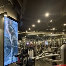 엠휘트니스 | [마포/헬스장] 서울 마포구 헬스장 PT 휘트니스엠 마포 추천 솔직후기