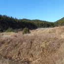 상무대로 이미지