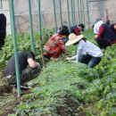 운동농장 이미지