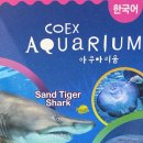 브라더후드 바버샵