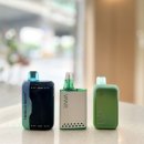 테슬라코리아 인천남동구점 | [인천 논현동 전자담배 베이프랩] 일회용 전자담배 베스트 테슬라바/엘프바/엔바 총 3종!!!