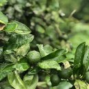 칠전동길3 이미지