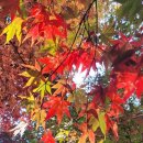 정부청사역 이미지