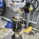 리스체크 이미지