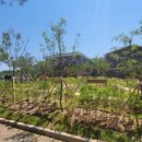 내산초등학교 이미지