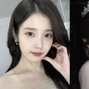 영앤리치 스포츠경향