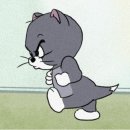 빅뱅 | 빅뱅콘 광탈 후기 등