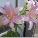 동원식당 이미지