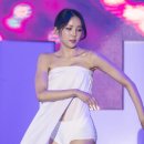 나비퀸 일간스포츠