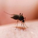 공덕역 마트 약국 이미지