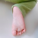 레푸스 화정점 이미지