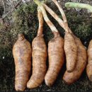 천마힐링안마원 이미지