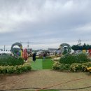 송원족발 이미지