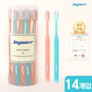 진성애견용품 이미지