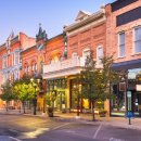 참치데이 이미지