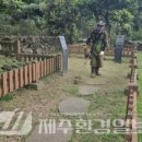 제주 도련동 귤나무류 이미지