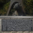 죽도봉공원 이미지