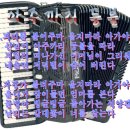 정주희악단 Daum카페