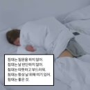 홍우농장 | #250210 3개월만의 쓰는 덕질일기 or 생카후기