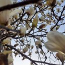 순덕축산 이미지