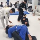 페로자주짓수