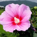 그대그리고나 이미지