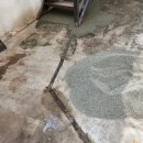 충남라이닝