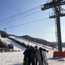 비발디렌통령 이미지