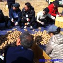 김포농부