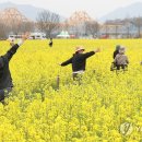 낙동강변 축구장 2 이미지