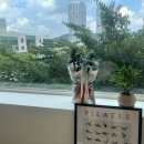 자스민 운동센터 이미지