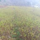 죽청마을 이미지