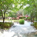 비산3동-3 이미지