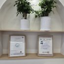 개를 미용하는 남자 이미지