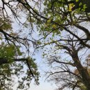 선피크모텔 이미지