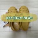 이고르 클라시카 유아 젤리슈즈 디죵 색상 구매 후기 (사이즈 21) !!