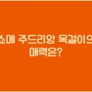 리앙 티스토리