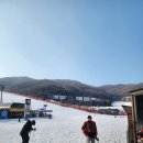 감성분식 청춘식당 소담점 | 곤지암리조트스키장 렌탈샵 리프트권 할인 조건 후기