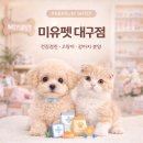 영천동물병원 | 영천펫샵 제대로 찾는 방법, 끝까지 보면 기준이 정리됩니다
