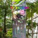 스마트농업지원관 네이버블로그
