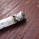 오태초교 이미지