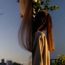 자라다plant 네이버블로그